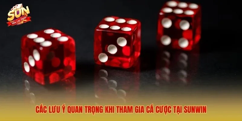 Sunwin – Link Tải Cổng Game Bài Đổi Thưởng Số 1 Việt Nam 2026 Các lưu ý quan trọng khi tham gia cá cược tại Sunwin